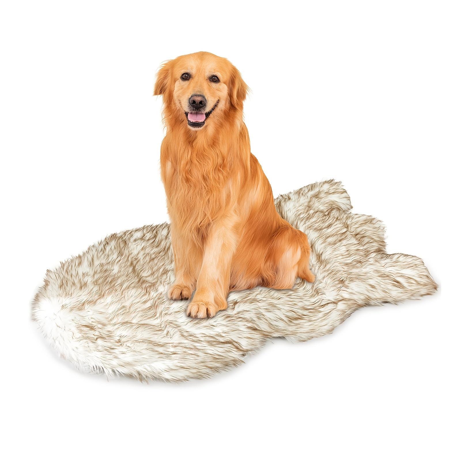 Luxury Faux Fur Memory Foam Dog Bed – 5 Inch Thick Super Soft Pet Bed with Removable Cover for Small to Large Dogs