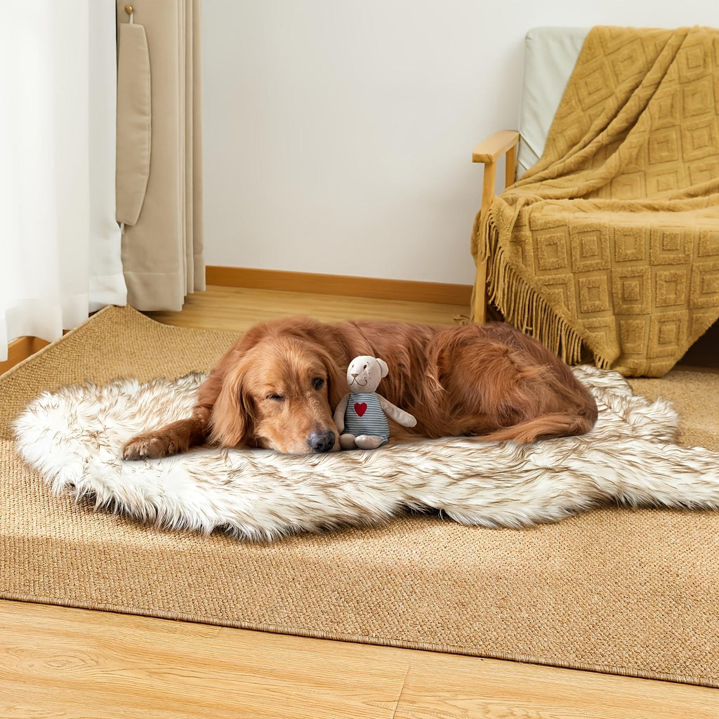 Luxury Faux Fur Memory Foam Dog Bed – 5 Inch Thick Super Soft Pet Bed with Removable Cover for Small to Large Dogs