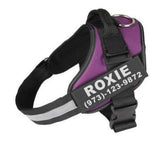 Custom Reflective No-Pull Dog Harness – Adjustable Breathable Pet Vest with Patch for Small to Large Dogs & Cats