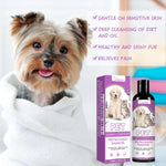 Pet Shampoo with Lavender Oil – Gentle Hair & Skin Care for Dogs & Cats, Flea-Reducing, Cleansing & Deodorizing Wash